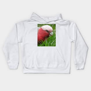 Galah Kids Hoodie